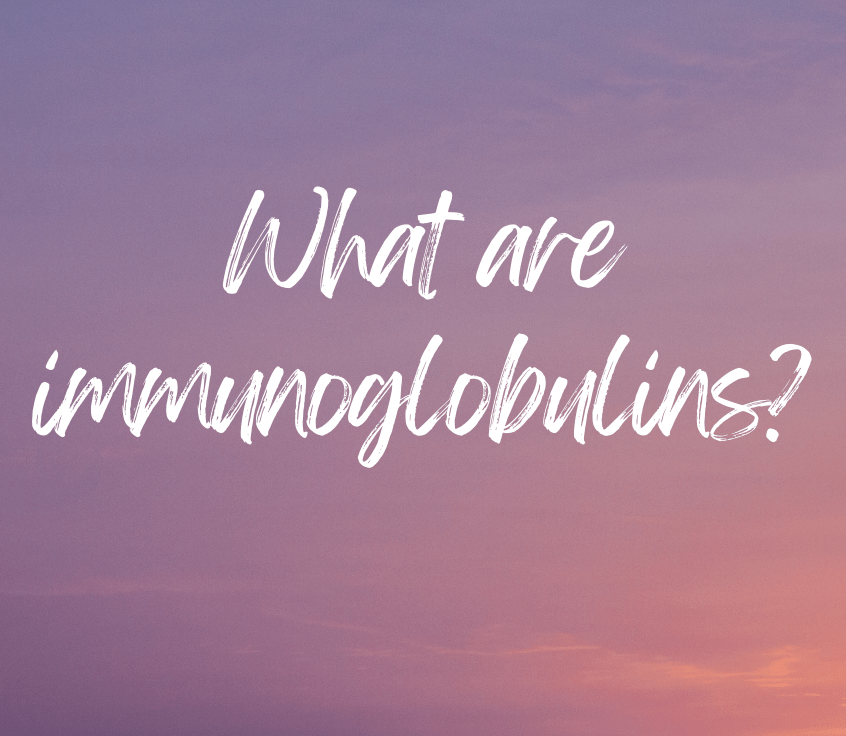 What are immunoglobulins?