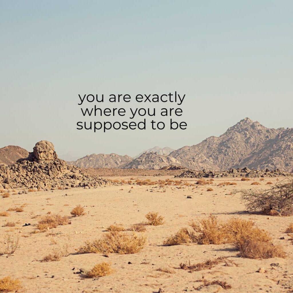 you are exactly where you are supposed to be
