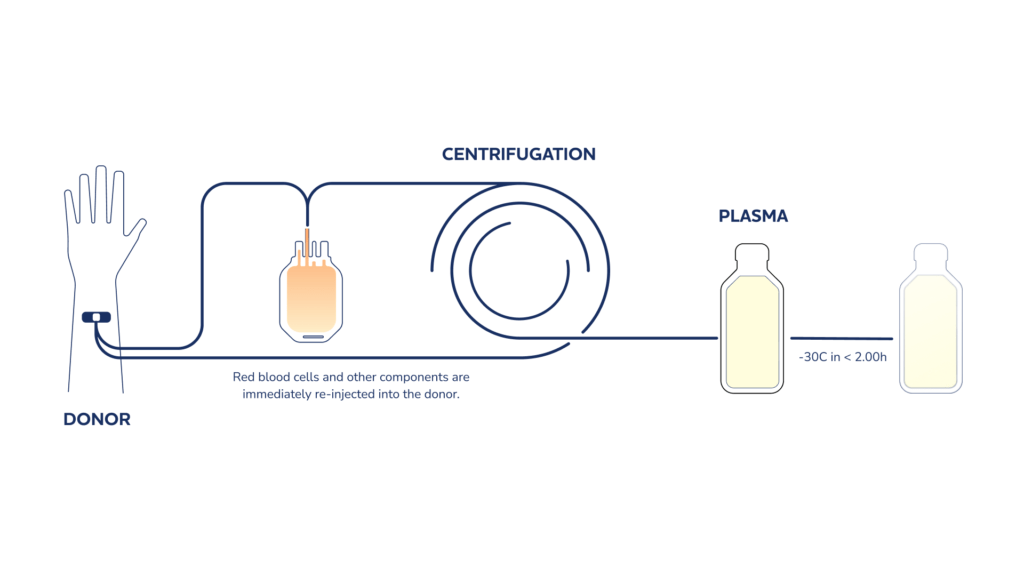 plasma donation diagram